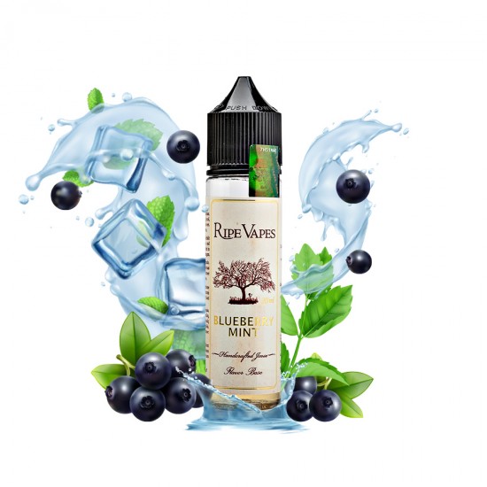 blueberry-mint جویس بلوبری نعنا رایپ ویپز Ripvapes Blueberry Mint - Image 1