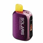 سولاریز ۲۵ هزار پاف-Solaris 25,000 Puffs - Image 2