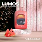 پاد یکبار مصرف ویگور باکس لوموس VIGORBOX LUMOS 25.000 Puffs - Image 2