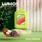 پاد یکبار مصرف ویگور باکس لوموس VIGORBOX LUMOS 25.000 Puffs - Image 3