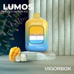 پاد یکبار مصرف ویگور باکس لوموس VIGORBOX LUMOS 25.000 Puffs