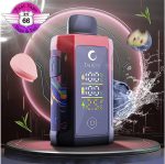 پاف IJOY TaiJiZen JUDO 24000 - Image 2